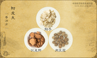 附龙丸