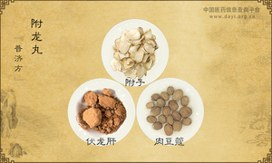 附龙丸