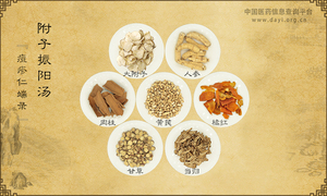 附子振阳汤《痘疹仁端录》