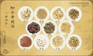 附子黄芪汤《普济方》