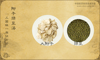 附子绿豆汤《三因极一病证方论》