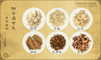 附子温中丸《医学发明》