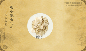 附子塞虫孔丸《外台秘要》