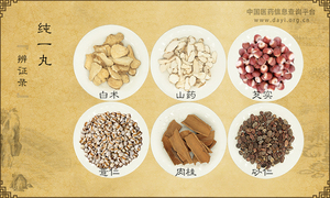 纯一丸《辨证录》