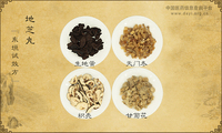 地芝丸《东垣试效方》