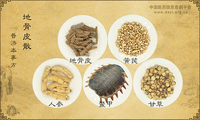 地骨皮散《普济本事方》