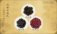 地黄五味丸《是斋百一选方》