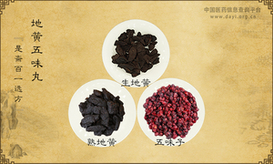 地黄五味丸《是斋百一选方》