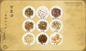芎夏汤《直指小儿方》