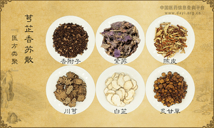 芎芷香苏散《医方类聚》