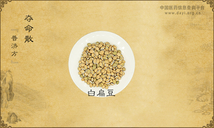 夺命散《普济方》卷三五七