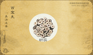百宝丸《圣济总录》