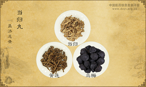 当归丸《圣济总录》