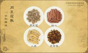 肉豆蔻散《幼科释谜》