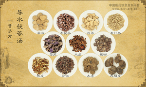 导水茯苓汤