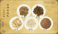 导滞香连丸