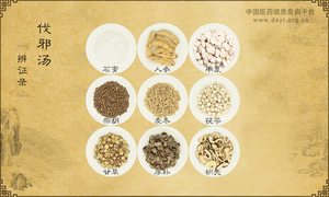 伐邪汤