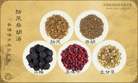防风柴胡汤