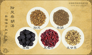 防风柴胡汤