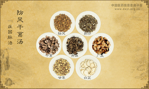 防风干葛汤