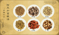 防风加葛根汤