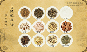 防风解毒汤