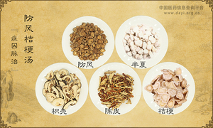 防风桔梗汤《症因脉治》
