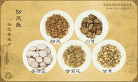 防风散《杨氏家藏方》