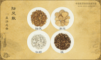 防风散《圣济总录》卷十三