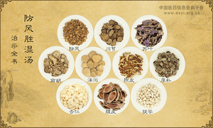 防风胜湿汤