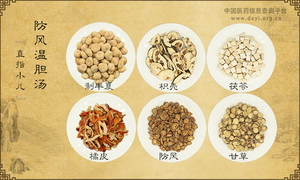 防风温胆汤