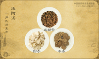 延附汤《严氏济生方》