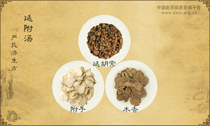 延附汤《严氏济生方》
