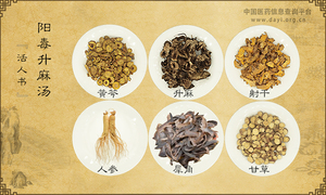 阳毒升麻汤