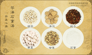 苓泽石膏汤