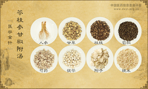 苓桂参甘椒附汤