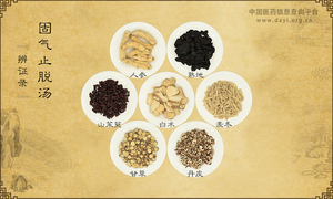 固气止脱汤《辨证录》