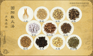 固阳散火汤《片玉痘疹》