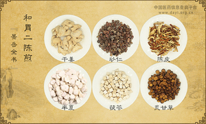 和胃二陈煎