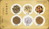 和胃透肌汤