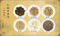 和解养胃汤《辨证录》