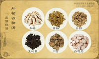 知柏四物汤