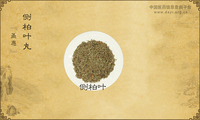 侧柏叶丸