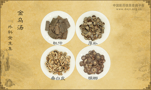 金乌汤