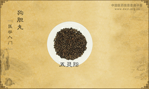 狗胆丸《医学入门》