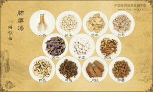 肺痹汤《辨证录》