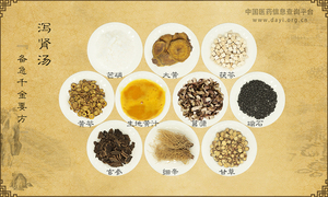 泻肾汤《备急千金要方》