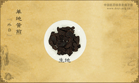 单地黄煎