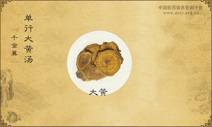 单行大黄汤《千金翼》