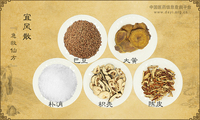 宜风散